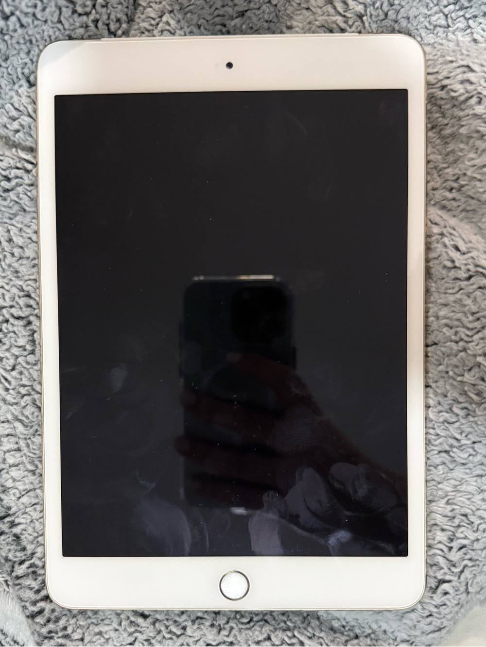 iPad Mini 3